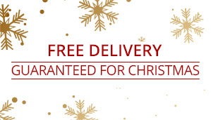 Christmas Delivery Guaranteed Banner