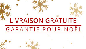Christmas Delivery Guaranteed Banner