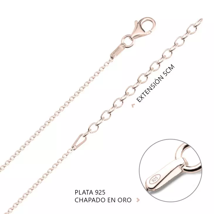 Rose Gold Box And Rolo Chain