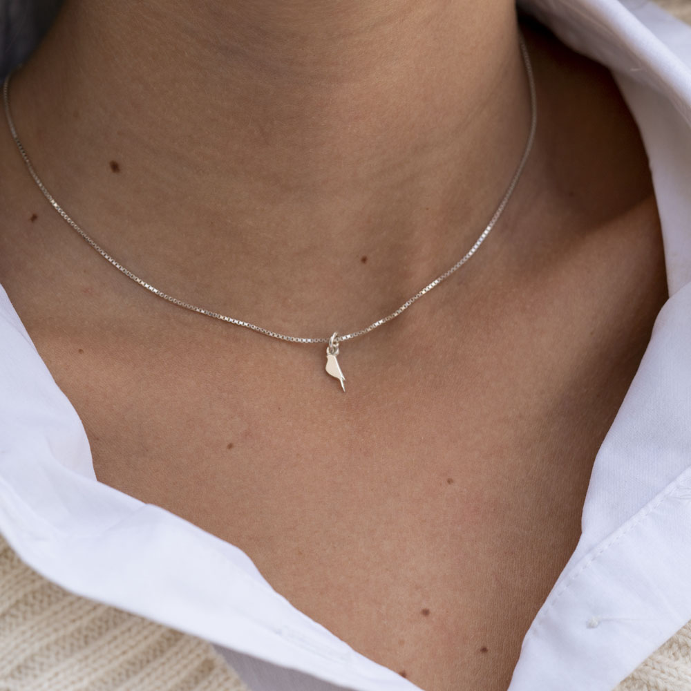 Conjunto de Collar de Animal - Madre e Hija