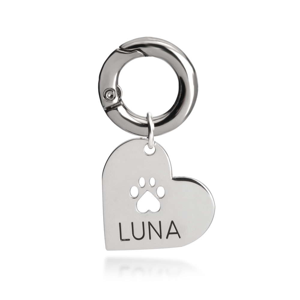 Cat or Dog Collar Tag With Pet's Name